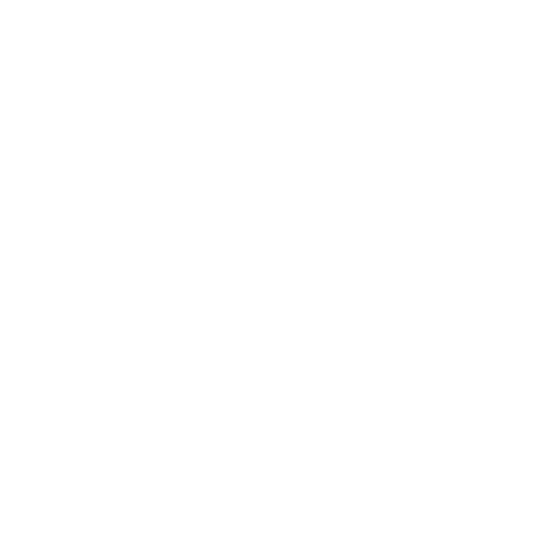 NordLayer Logo